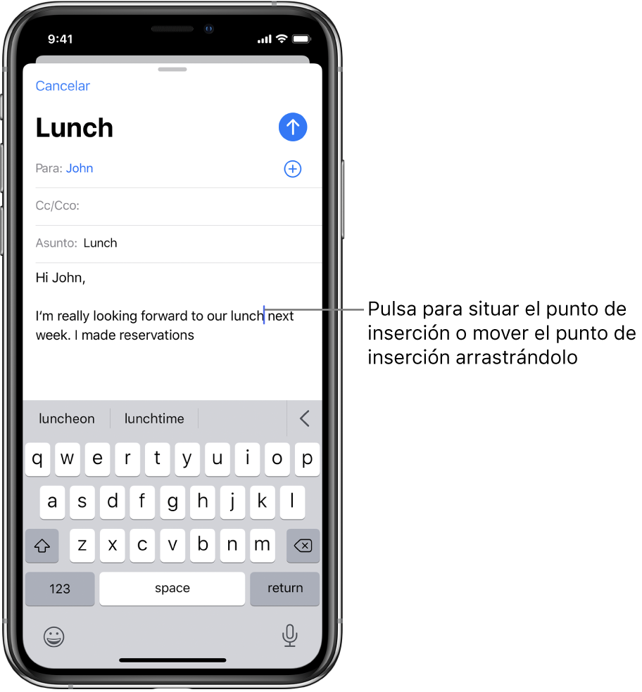 Borrador de correo electrónico, con el punto de inserción donde se insertará el texto.