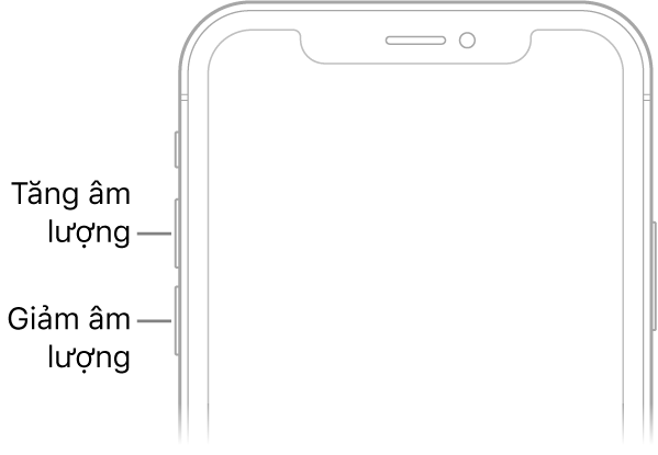 Phần phía trên của mặt trước iPhone với các nút tăng âm lượng và giảm âm lượng ở phía trên bên trái.
