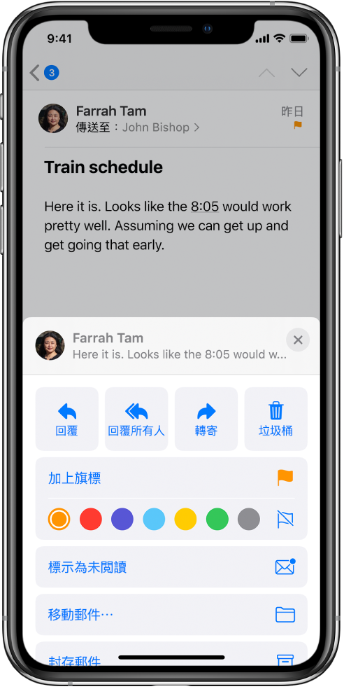 在下方顯示回覆選項的郵件。選項下方是旗標顏色選項。