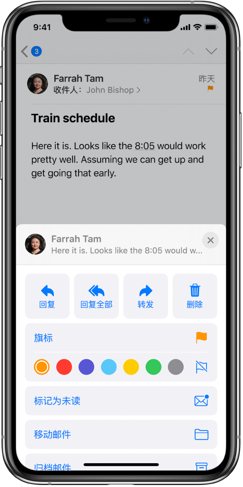 电子邮件下方有一些回复选项。这些选项下方是旗标的颜色选择。