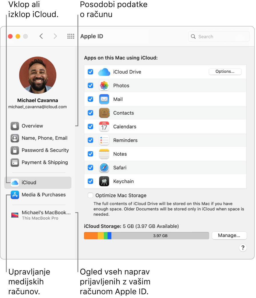 Podokno Apple ID v možnosti System Preferences. Kliknite element v stranski vrstici, da posodobite podatke o računu, vklopite ali izklopite storitev iCloud, upravljate račune za predstavnostno vsebino ali si oglejte vse naprave, v katere ste prijavljeni z računom Apple ID.