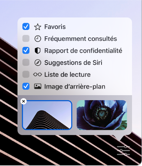 Le menu local Personnaliser de Safari avec les cases à cocher suivantes : Favoris, Fréquemment consultés, Rapport de confidentialité, Suggestions de Siri, Liste de lecture et Image d’arrière-plan.