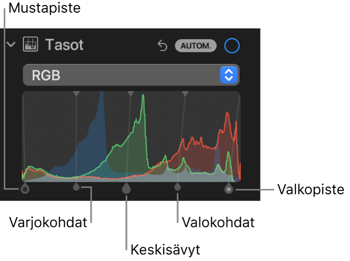 Tasosäätimet Säädöt-osiossa, ja näkyvillä on RGB-histogrammi ja sen alla kahvat, mukaan lukien (vasemmalta oikealle) mustapiste, varjokohdat, keskisävyt, valokohdat ja valkopiste.