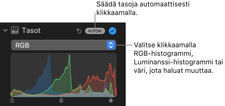 Tasosäätimet Säädöt-osiossa, ja näkyvillä on Automaattinen-painike yläoikealla ja RGB-histogrammi alla.