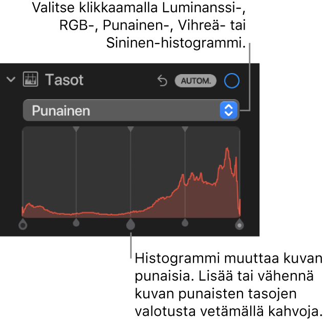 Tasosäätimet Säädöt-osiossa, ja näkyvillä on punainen histogrammi ja sen alla kahvat kuvan punaisuustasojen säätämiseen.