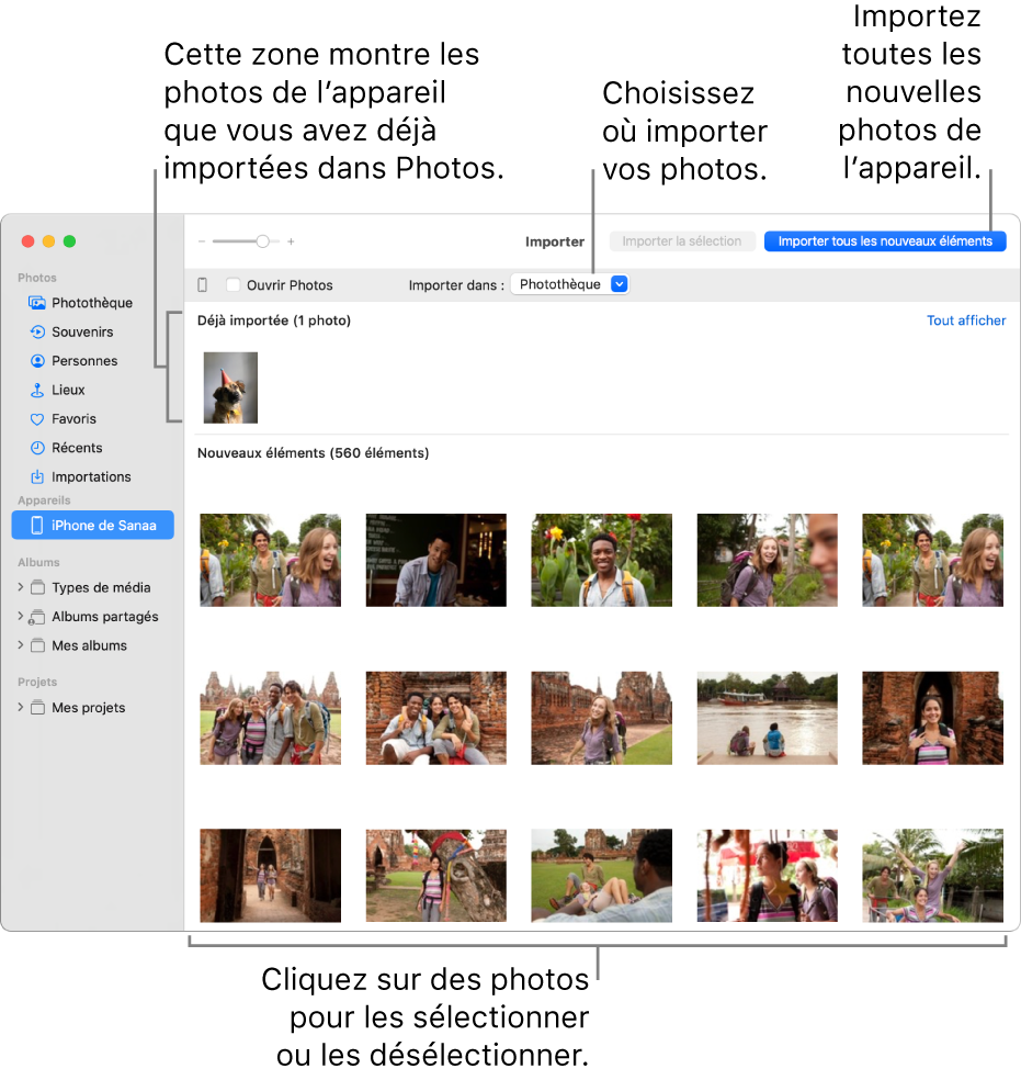 Les photos présentes sur l’appareil que vous avez déjà importées apparaissent en haut de la sous-fenêtre. Les nouvelles photos apparaissent en bas. En haut et au centre se trouve le menu contextuel « Importer vers ». Le bouton Importer tous les nouveaux éléments se trouve en haut à droite.