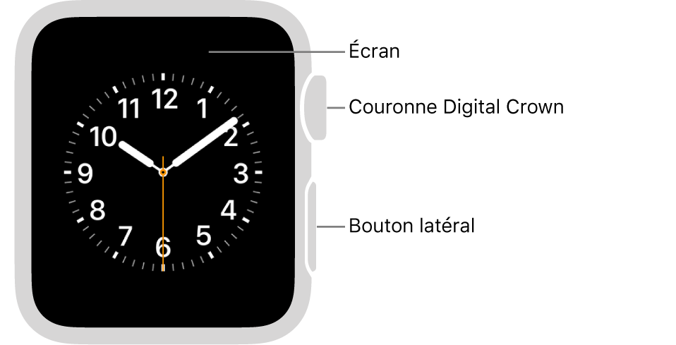L’avant de l’Apple Watch Series 3, avec l’écran affichant le cadran, et sur le côté de la montre la Digital Crown et le bouton latéral.