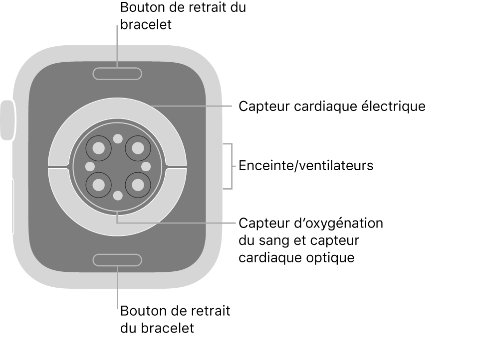 L’arrière de l’Apple Watch Series 6, avec les boutons de retrait du bracelet en haut et en bas, les capteurs électriques de fréquence cardiaque, les capteurs optiques de fréquence cardiaque et les capteurs d’oxygénation du sang au milieu, ainsi que le haut-parleur et les aérations sur le côté.