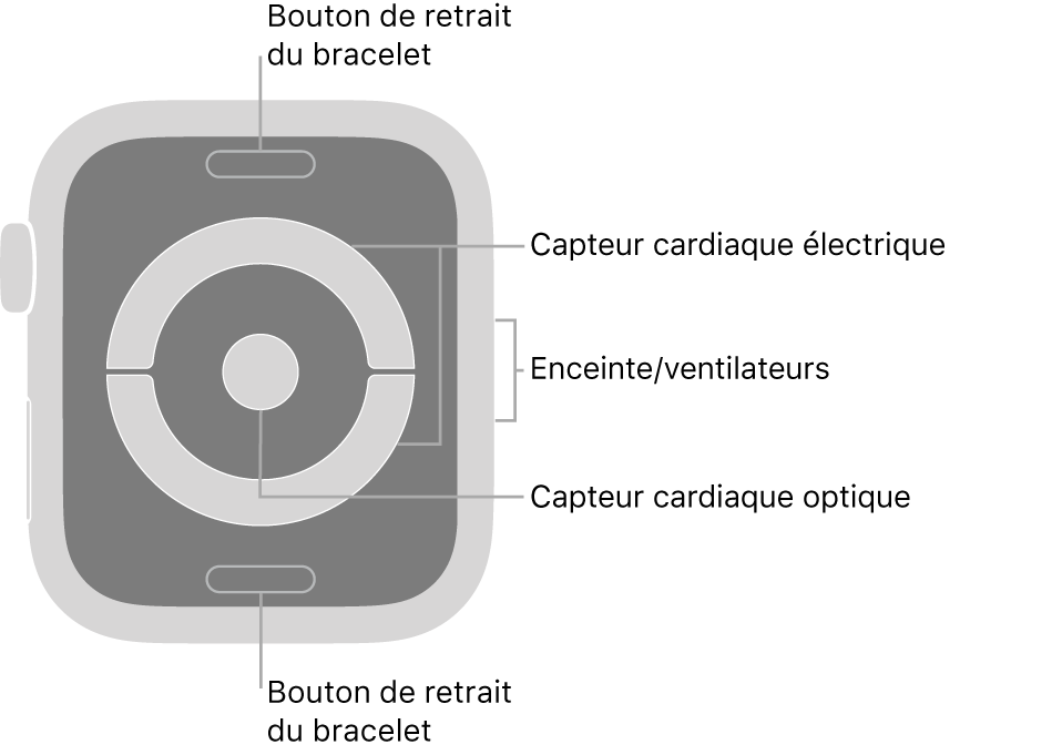 L’arrière de l’Apple Watch Series 4 et de l’Apple Watch Series 5, avec les boutons de retrait du bracelet en haut et en bas, les capteurs électriques de fréquence cardiaque et le capteur optique de fréquence cardiaque au milieu ainsi que le haut-parleur et les aérations sur le côté des montres.