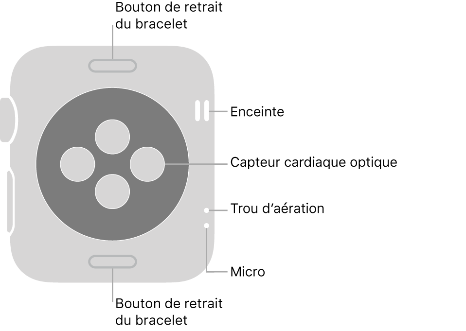 L’arrière de l’Apple Watch Series 3, avec les boutons de retrait du bracelet en haut et en bas, les capteurs optiques de fréquence cardiaque au milieu ainsi que, de haut en bas près du côté de la montre, le haut-parleur, l’aération et le micro.