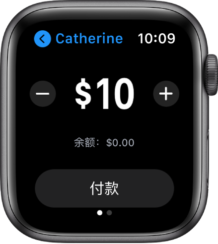 “信息”屏幕显示正准备支付 Apple Cash。位于顶部的美元金额左右两侧包含减号和加号按钮。当前余额位于下方,“支付”按钮位于底部。