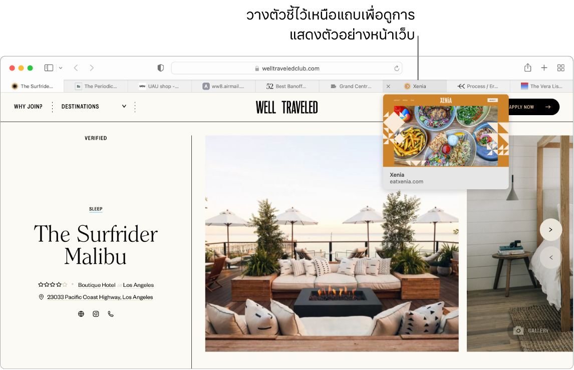 หน้าต่าง Safari ที่มีหน้าเว็บที่ใช้งานอยู่ชื่อว่า “เที่ยวเก่ง” พร้อมกับแถบอื่นๆ อีก 9 แถบ และมีตัวชี้บรรยายไปยังการแสดงตัวอย่างของแถบ “ตลาดแกรนด์เซ็นทรัล” ที่มีข้อความ “วางตัวชี้ไว้เหนือแถบเพื่อดูตัวอย่างหน้าเว็บ”