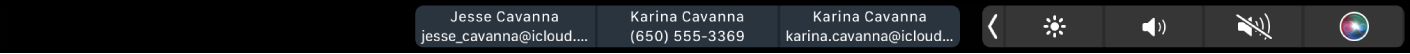 Die FaceTime-Touch Bar mit Tasten zum Anzeigen von Kontaktinformationen, Tätigen eines Video- oder Audioanrufs sowie zum Senden einer Nachricht oder E-Mail