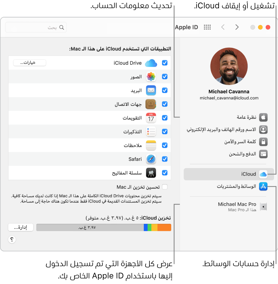 جزء Apple ID في تفضيلات النظام. انقر على عنصر في الشريط الجانبي لتحديث معلومات حسابك وتشغيل iCloud أو إيقافه وإدارة حسابات الوسائط وعرض جميع الأجهزة التي سجلت الدخول عليها باستخدام Apple ID.