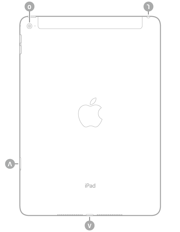 عرض للجزء الخلفي من الـ iPad Air 2 مع وسائل شرح من أعلى اليسار في اتجاه عقارب الساعة: الكاميرا الخلفية ومقبس سماعة الرأس وموصل Lightning وحامل SIM (Wi-Fi + Cellular).
