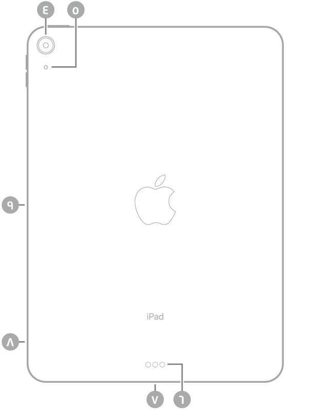 عرض للجزء الخلفي من الـ iPad Air مع وسائل شرح من أعلى اليسار في اتجاه عقارب الساعة: الكاميرا الخلفية والفلاش و Smart Connector وموصل USB-C وحامل SIM (في طرز Wi-Fi + Cellular) والموصل المغناطيسي لـ Apple Pencil.