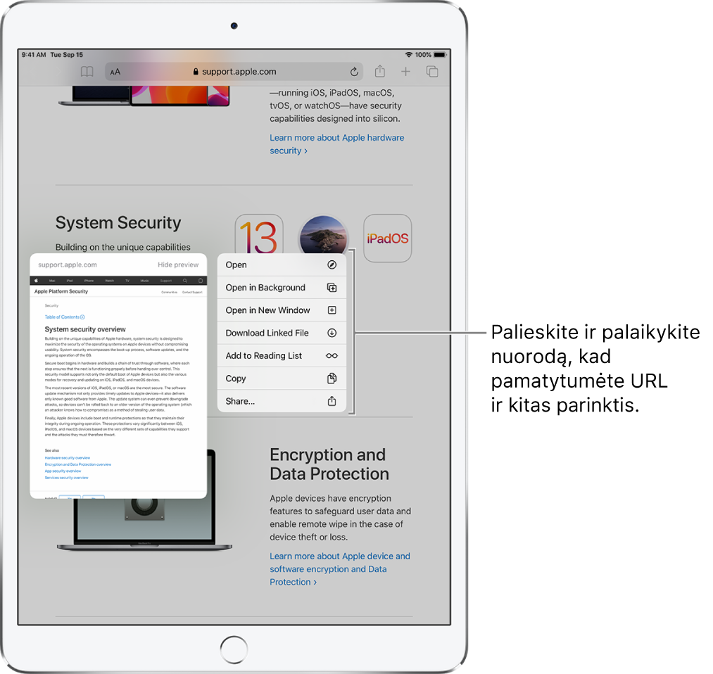 Perdanga, kurioje rodomas paskirties adresas ir galimų veiksmų sąrašas: „Open“, „Open in New Tab“, „Open in Split View“, „Add to Reading List“, „Copy“ arba „Share“.
