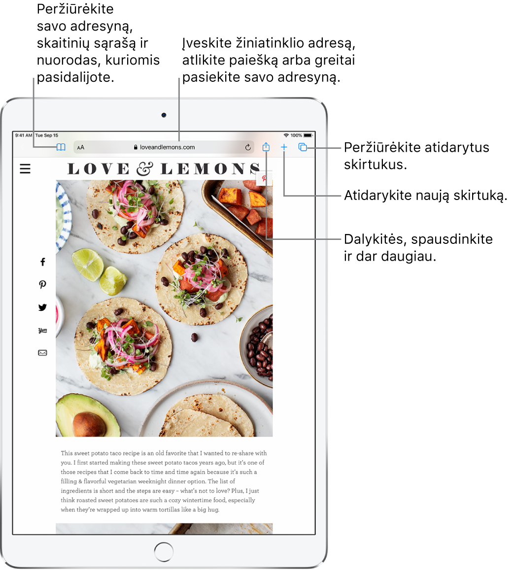 „Safari“ atvertas tinklalapis su viršuje esančiais valdikliais (iš kairės į dešinę): grįžimo atgal, perėjimo pirmyn ir žymų mygtukai, adreso laukas, bendrinimo, naujo skirtuko ir puslapių mygtukai.