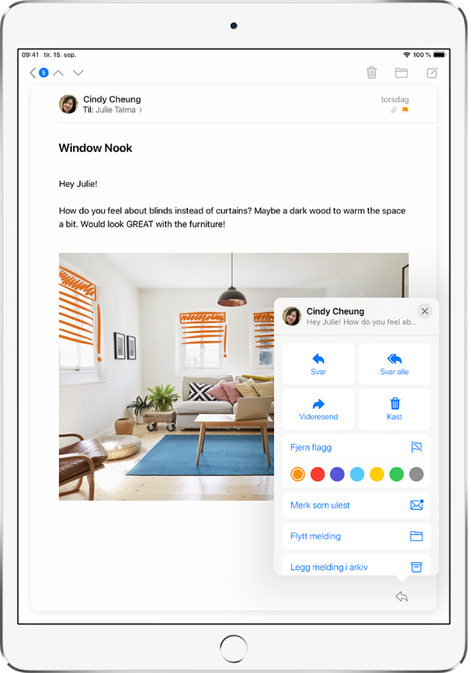 En e-post som viser svaralternativer nede til høyre. Under vises fargevalgene for flagg.