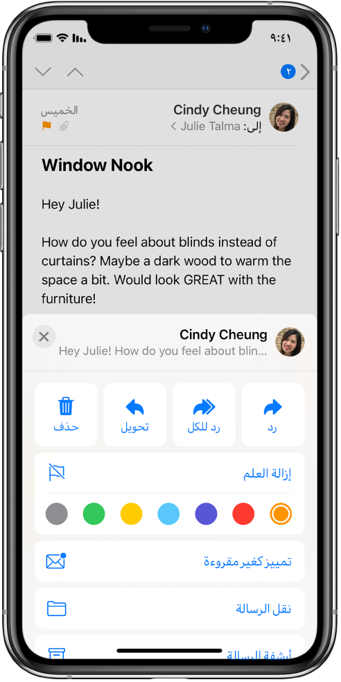 رسالة بريد إلكتروني تعرض خيارات الرد في الجزء السفلي. أسفل تلك الخيارات توجد خيارات الألوان الخاصة بالأعلام.