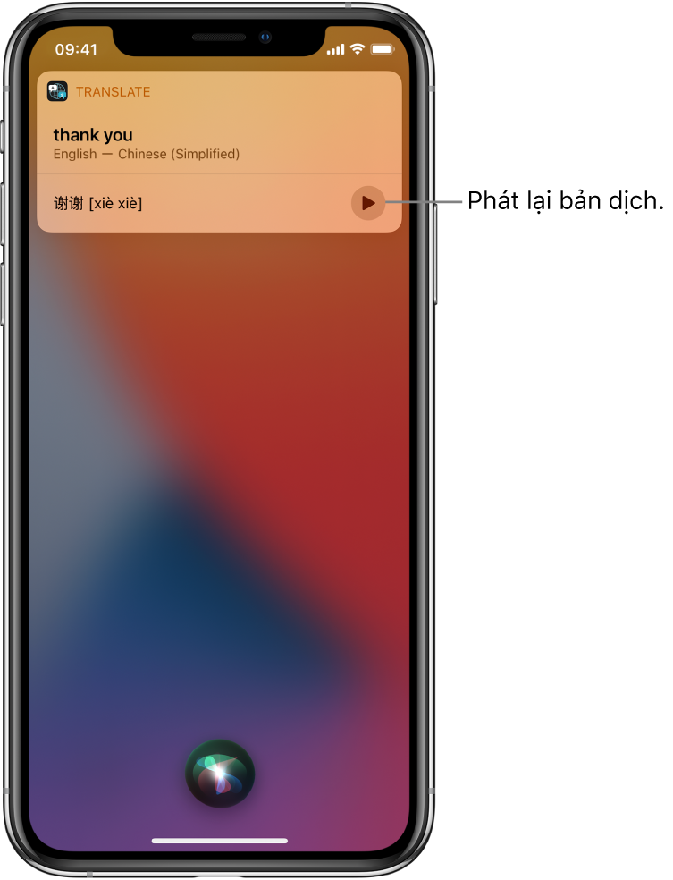 Siri hiển thị một bản dịch của cụm từ Tiếng Anh “thank you” sang Tiếng Hoa phổ thông. Một nút ở bên phải bản dịch phát lại âm thanh của bản dịch.