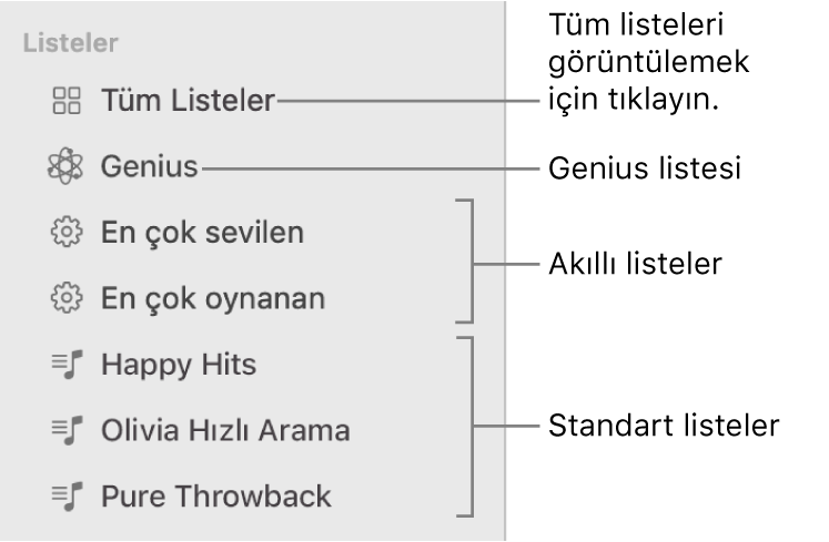 Çeşitli liste türlerini gösteren Müzik kenar çubuğu: Genius listeleri, Akıllı ve standart listeler. Tümünü görüntülemek için Tüm Listeler’i tıklayın.
