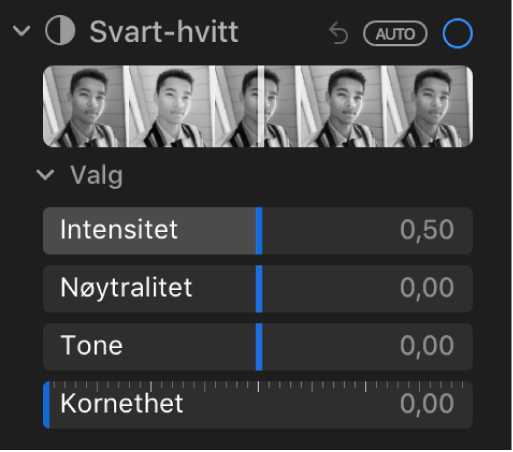 Svart-hvitt området i Juster-panelet som viser skyveknapper for Intensitet, Nøytralitet, Tone og Kornethet.