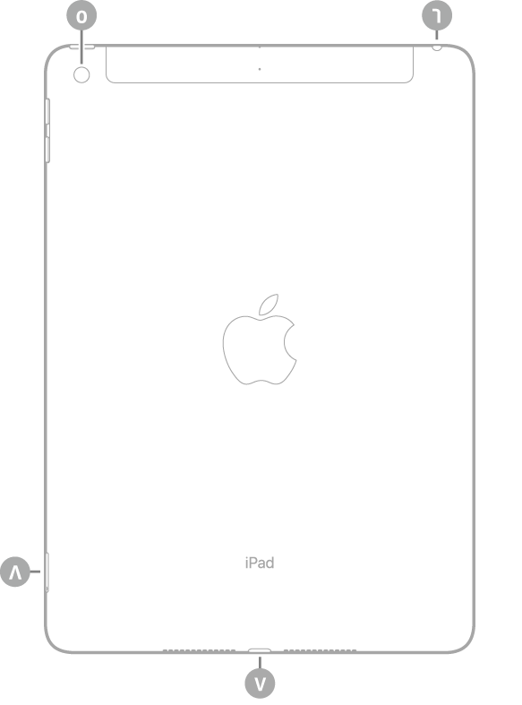 عرض للجزء الخلفي من iPad مع وسائل شرح للكاميرا الخلفية في أعلى اليسار، ومقبس سماعة الرأس في أعلى اليمين، وموصل Lightning في أسفل الوسط، وحامل SIM (في طرز Wi-Fi + Cellular) في أسفل اليسار.