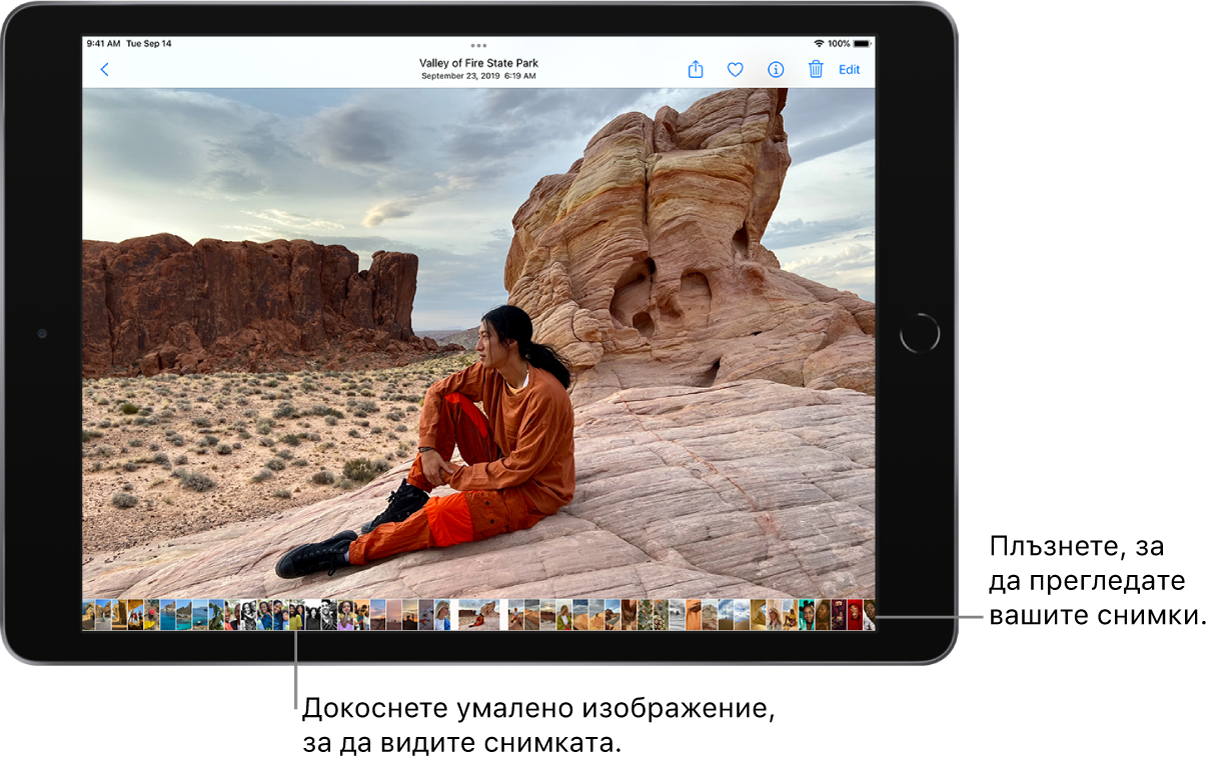 Снимка на пълен екран с умалените изображения на други снимки от библиотеката в долната част на екрана. Горе вляво е бутон Back (Назад), По горната дясна част са бутоните Share (Споделяне), Favorite (Любим), Info (Информация), Delete (Изтриване) и Edit (Редактиране).