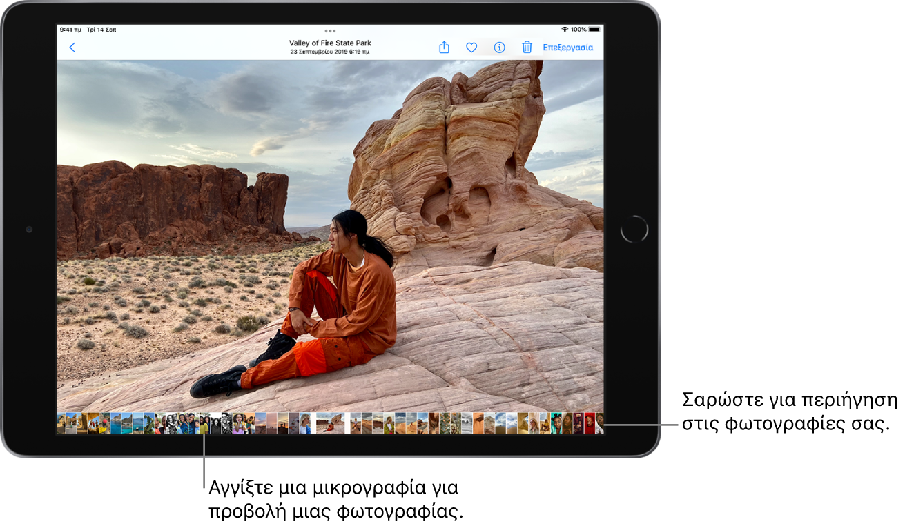 Μια φωτογραφία σε πλήρη οθόνη με μικρογραφίες άλλων φωτογραφιών από τη βιβλιοθήκη κατά μήκος του κάτω μέρους της οθόνης. Πάνω αριστερά είναι το κουμπί Πίσω, Κατά μήκος της πάνω δεξιάς πλευράς βρίσκονται τα κουμπιά Κοινή χρήση, Αγαπημένο, Πληροφορίες, Διαγραφή, και Επεξεργασία.