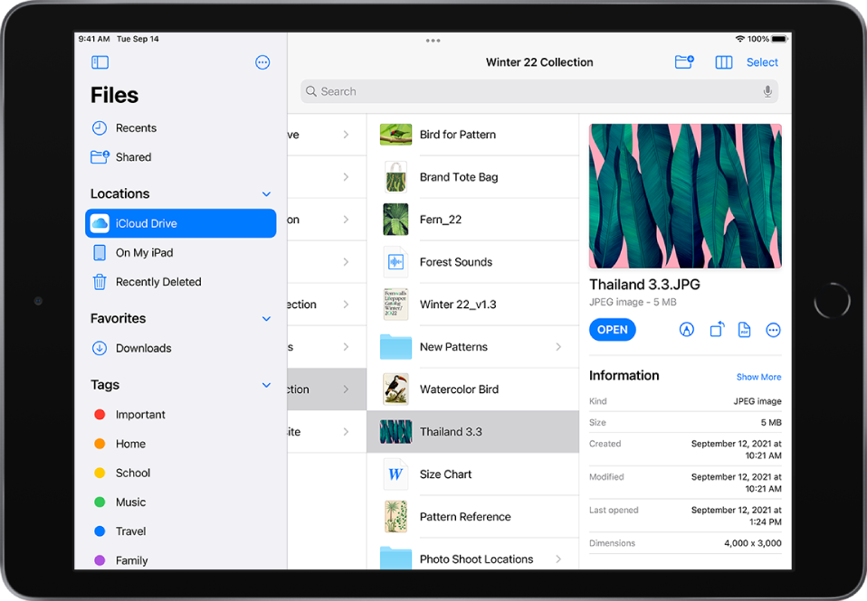 The Files app with the Browse sidebar on the left and folders for the iCloud Drive location on the right.