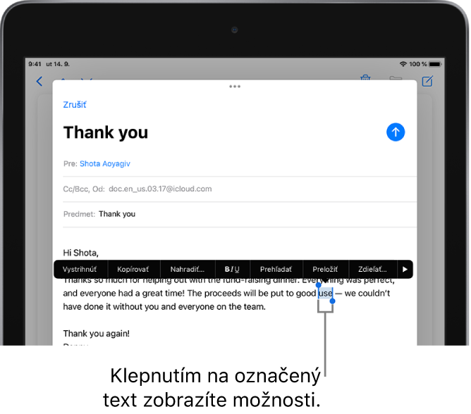 Vzorová emailová správa s označenou časťou textu. Nad výberom sa nachádzajú tlačidlá Vystrihnúť, Kopírovať, Vložiť a Nahradiť, ako aj ďalšie príkazy. Označený text je zvýraznený a na oboch jeho koncoch sa zobrazujú úchyty.