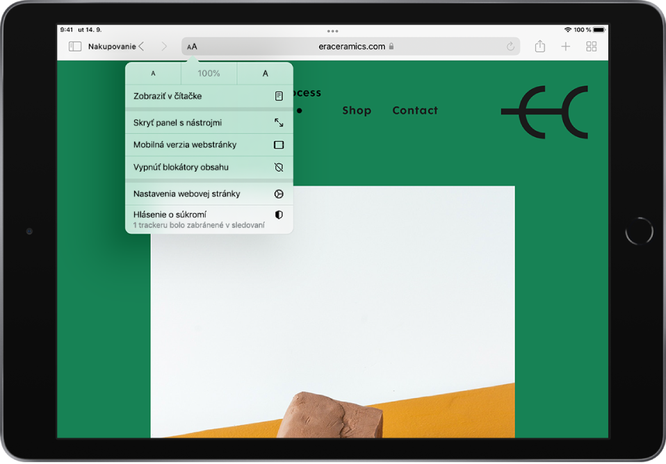 Webová stránka s otvoreným menu Nastavenia stránky. Zhora nadol obsahuje menu možnosti Veľkosť textu, Zobraziť v čítačke, Skryť panel s nástrojmi, Mobilná verzia webstránky, Nastavenia webovej stránky a Hlásenie o súkromí.