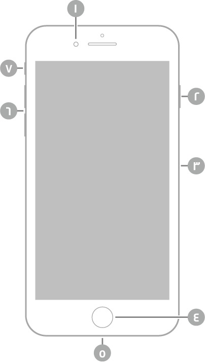 عرض للجزء الأمامي من الـ iPhone 8 Plus. توجد الكاميرا الأمامية في الجزء العلوي، على يسار السماعة. على الجانب الأيمن، من الأعلى إلى الأسفل، يوجد الزر الجانبي وحامل بطاقة SIM. ويوجد زر الشاشة الرئيسية في أسفل المنتصف. يوجد موصل Lightning على الحافة السفلية. على الجانب الأيسر، من الأسفل إلى الأعلى، يوجد زرا مستوى الصوت ومفتاح رنين/صامت.