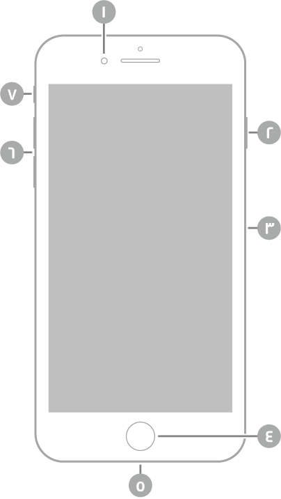 عرض للجزء الأمامي من الـ iPhone 7 Plus. توجد الكاميرا الأمامية في الجزء العلوي، على يسار السماعة. على الجانب الأيمن، من الأعلى إلى الأسفل، يوجد الزر الجانبي وحامل بطاقة SIM. ويوجد زر الشاشة الرئيسية في أسفل المنتصف. يوجد موصل Lightning على الحافة السفلية. على الجانب الأيسر، من الأسفل إلى الأعلى، يوجد زرا مستوى الصوت ومفتاح رنين/صامت.