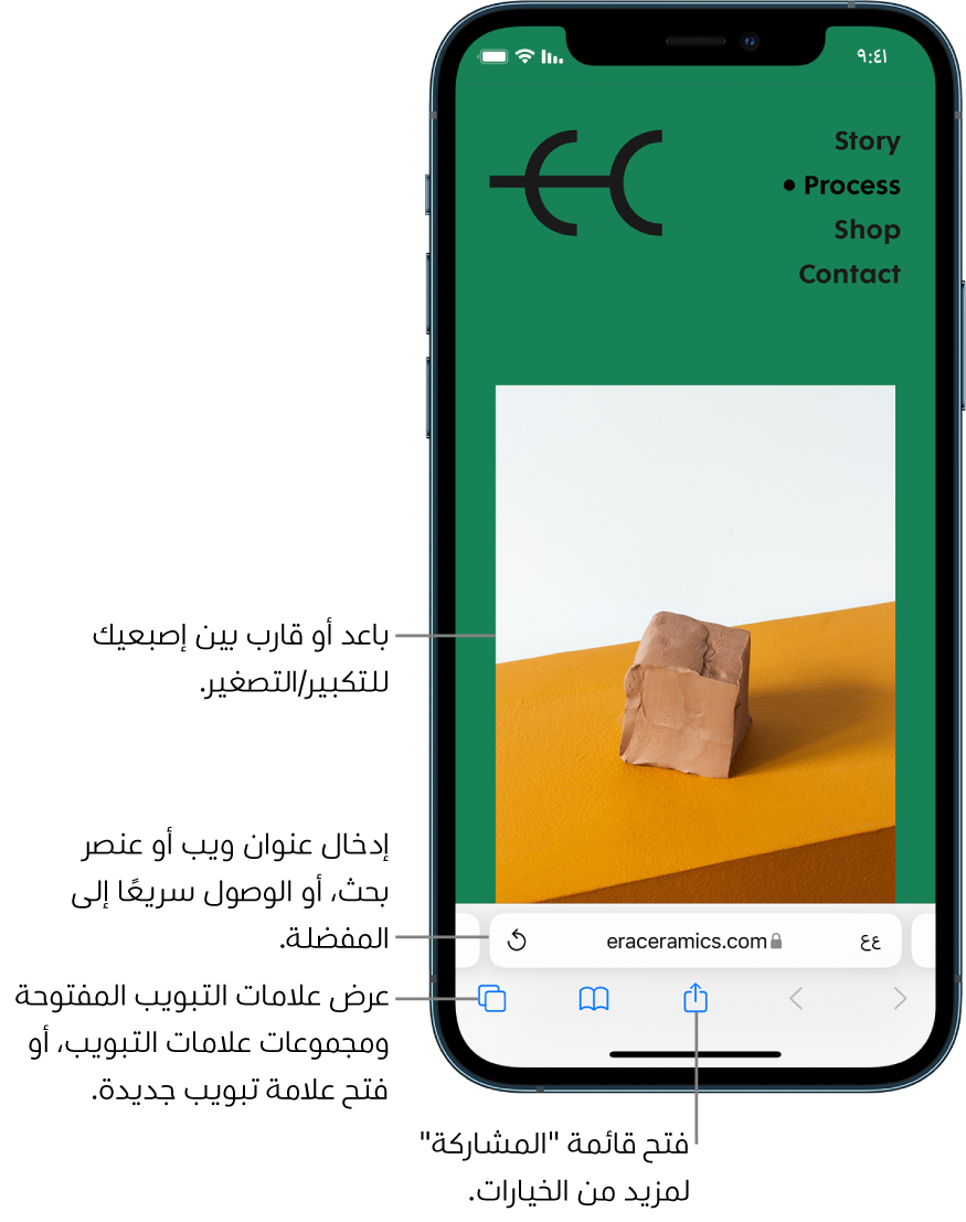 موقع ويب مفتوح في Safari، ويظهر حقل العنوان في الجزء السفلي. في الجزء السفلي، من اليمين إلى اليسار، تظهر أزرار الخلف، والأمام، والمشاركة، والإشارات المرجعية، وعلامات التبويب.