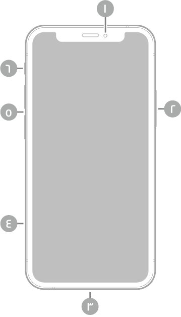 عرض للجزء الأمامي من الـ iPhone 12 mini. توجد الكاميرا الأمامية في أعلى المنتصف. ويوجد الزر الجانبي على الجانب الأيمن. يوجد موصل Lightning في الأسفل. على الجانب الأيسر، من الأسفل إلى الأعلى، يوجد حامل بطاقة SIM وزرا مستوى الصوت ومفتاح رنين/صامت.