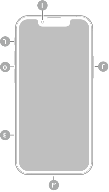 عرض للجزء الأمامي من iPhone 13 mini. توجد الكاميرا الأمامية في أعلى المنتصف. ويوجد الزر الجانبي على الجانب الأيمن. يوجد موصل Lightning في الأسفل. على الجانب الأيسر، من الأسفل إلى الأعلى، يوجد حامل بطاقة SIM وزرا مستوى الصوت ومفتاح رنين/صامت.