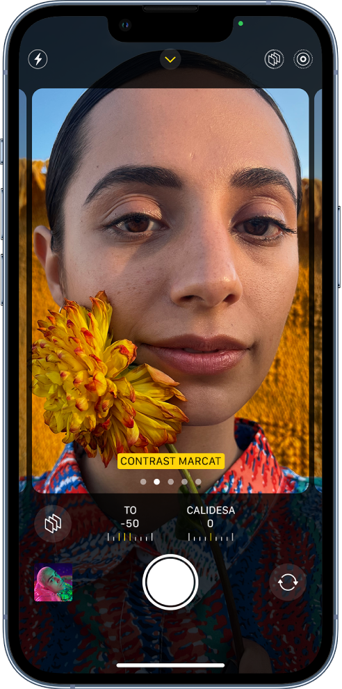 La càmera està oberta i es mostra la pantalla d’estils fotogràfics. A l’angle superior esquerre de la pantalla hi ha el boto Flaix. Al centre de la part superior de la pantalla hi ha el botó dels controls de la càmera, que està activat. A l’angle superior dret hi ha el botó d’estils fotogràfics activat i el botó de Live Photo. Ocupant la pantalla de la càmera hi ha l’estil “Contrast marcat” al marc de la càmera. A sota del marc de la càmera hi ha el botó Estils, els reguladors per ajustar els valors To i Calidesa, i el botó “Restabliment d’estils”. A la part inferior de la pantalla, d’esquerra a dreta, hi ha el botó visor de fotos i vídeos, el botó per fer una foto i el botó selector de la càmera posterior.