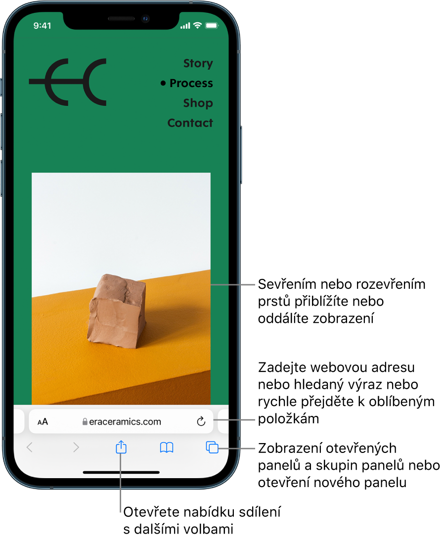 Otevřená webová stránka v Safari s polem adresy u dolního okraje. Dole se zleva doprava nacházejí tlačítka Zpět, Vpřed, Sdílet, Záložky a Panely.