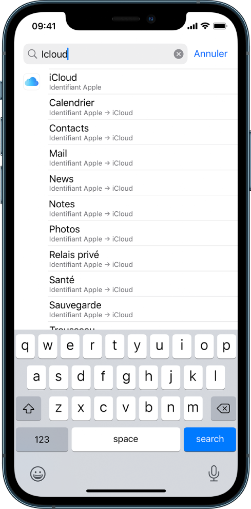 L’écran des réglages de recherche, avec le champ de recherche en haut. Le terme de recherche « iCloud » apparaît dans le champ de recherche, et les réglages trouvés s’affichent dans la liste située dessous.