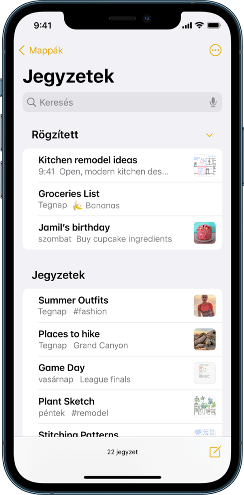 A jegyzetlista, tetején a keresőmezővel.