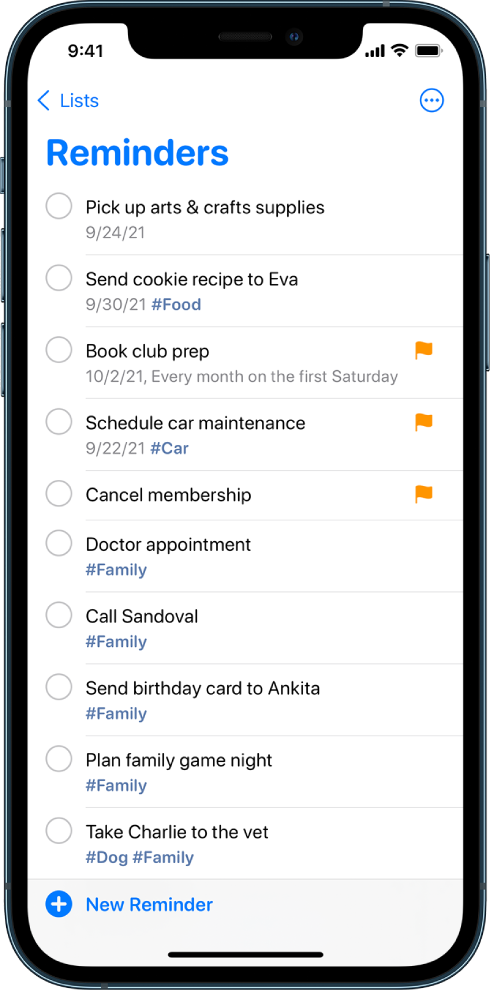 Іс тізімін көрсетіп тұрған Reminders экраны. New Reminder түймесі төменгі сол жақта орналасқан.