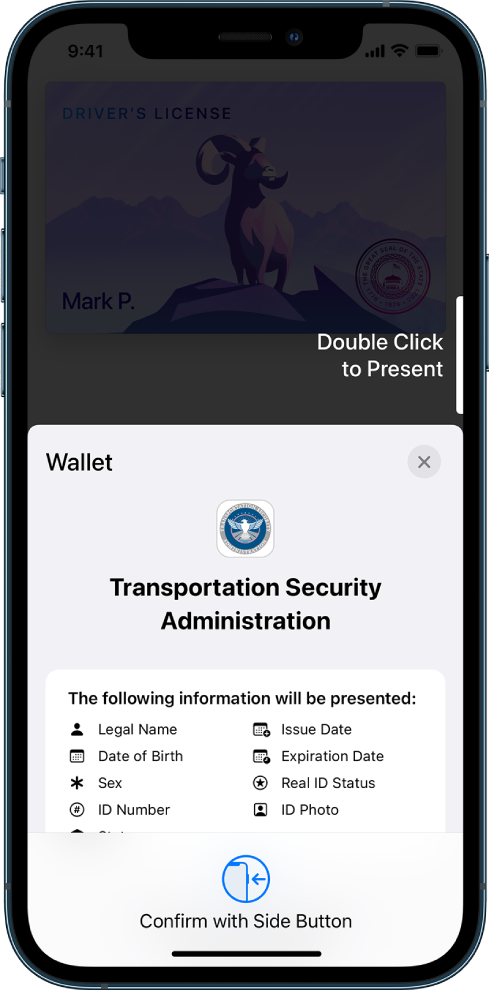 Ekrane rodoma TSA prašoma informacija, įskaitant teisėtai įgytus vardą bei pavardę, gimimo datą, tapatybės dokumento numerį, nuotrauką ir kt.