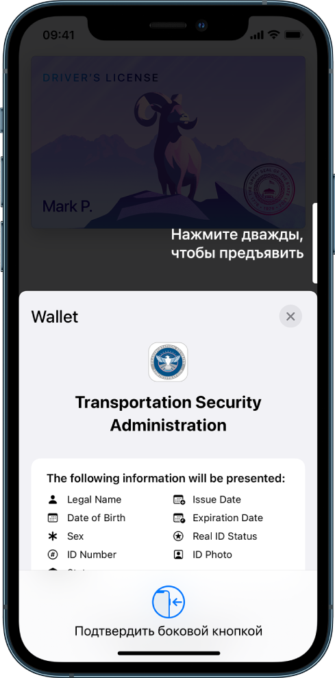 Экран, на котором показана информация, запрошенная пунктом транспортной безопасности: ФИО, дата рождения, номер удостоверения личности, фото удостоверения личности и т. д.