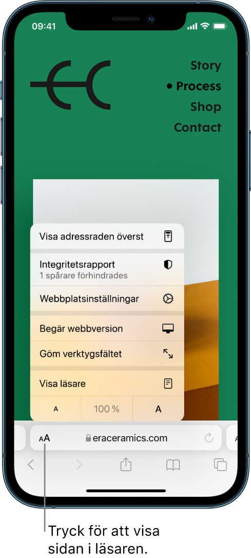Sidinställningsmenyn. Längst ned i menyn visas alternativet Visa läsaren.