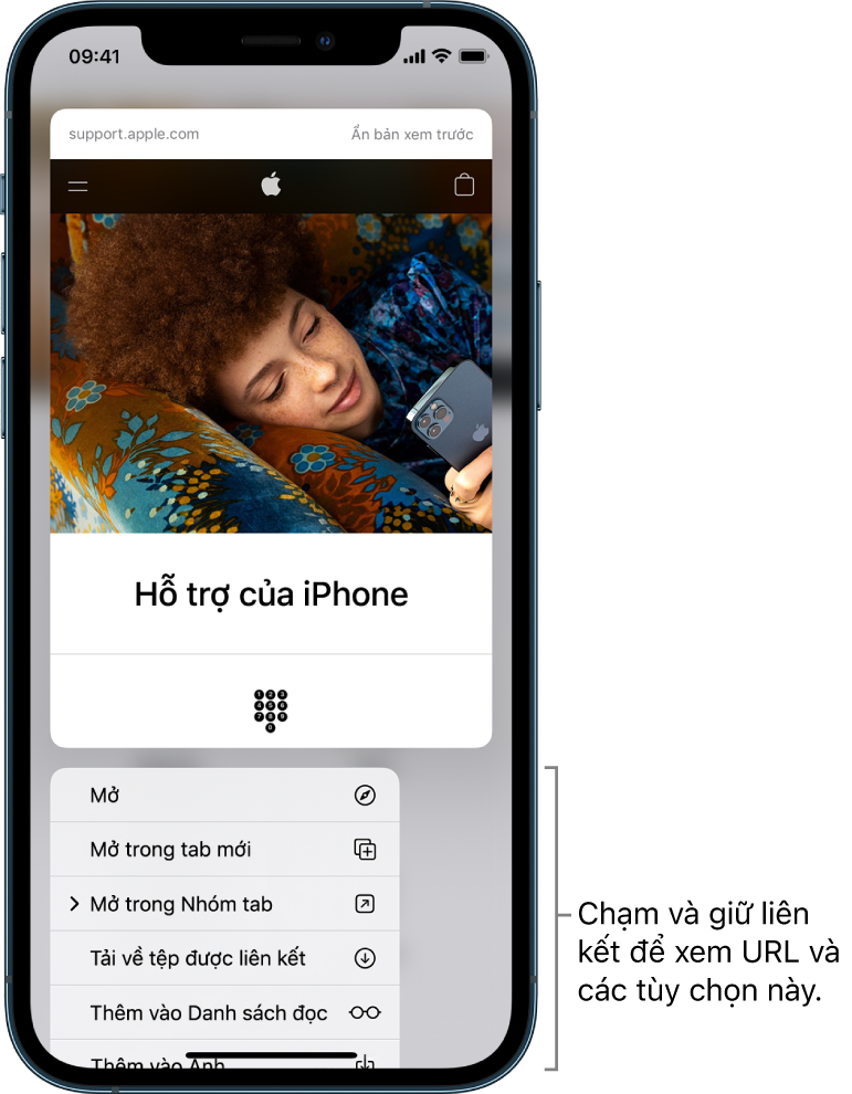 Một bản xem trước của URL đích, tiếp theo là một danh sách các tác vụ có thể thực hiện: Mở, Mở trong tab mới, Mở trong nhóm tab, Tải về tệp được liên kết, Thêm vào Danh sách đọc và Thêm vào Ảnh.