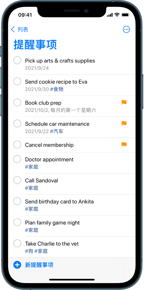 “提醒事项”屏幕显示待办事项列表。“新提醒事项”按钮位于左下方。