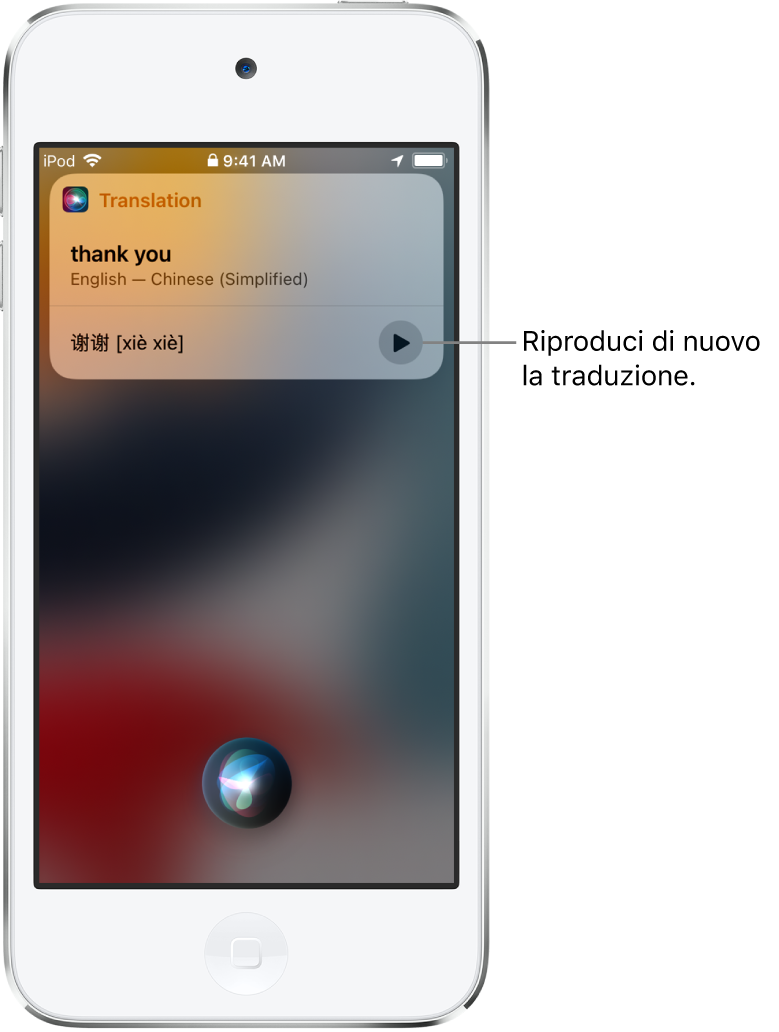 Siri mostra una traduzione della parola italiana “grazie” in cinese mandarino. Un pulsante sulla destra della traduzione permette di riprodurre nuovamente l'audio della traduzione.