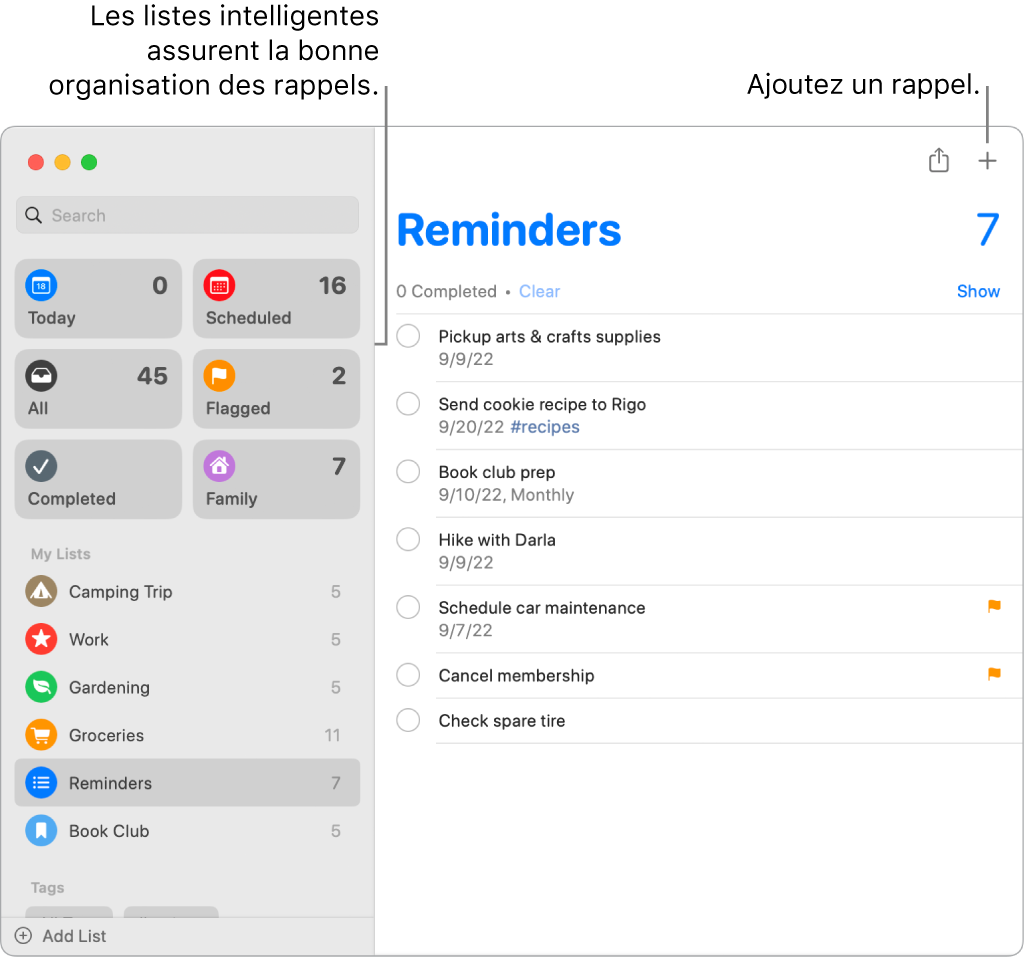 Fenêtre de Rappels avec des listes intelligentes sur la gauche, et d’autres rappels et listes en dessous. Le pointeur se trouve sur un rappel. Les listes intelligentes et le bouton « Ajouter un nouveau rappel » sont accompagnés de légendes.
